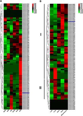 Genome-Wide Characterization and Analysis of the bHLH Transcription Factor Family in Suaeda aralocaspica, an Annual Halophyte With Single-Cell C4 Anatomy